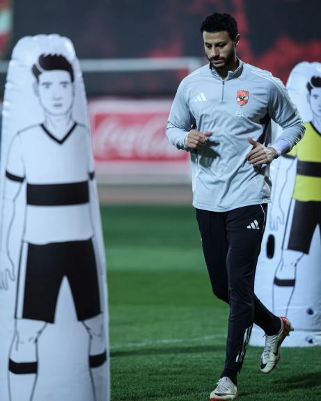 محمد الشناوي