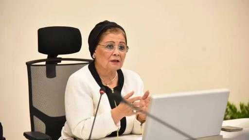 نائب وزير الصحة تبحث مع الجامعات تعزيز التعاون لتنفيذ الاستراتيجية الوطنية للسكان والتنمية وخطة 2025–2027