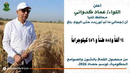 محافظ المنيا: شون وصوامع المحافظة تستقبل 14 ألف طن من القمح ضمن موسم توريد 2026