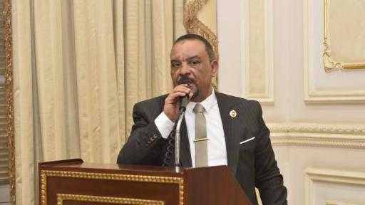 النائب أحمد حافظ: سيناء عنوان الصمود.. والتنمية الشاملة امتداد لانتصار الإرادة المصرية