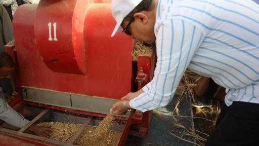 السنابل فى يد والمنجل فى اليد الاخرى ..  محافظ المنيا يشارك فى حصاد القمح ويؤكد : الفلاح بطل منظومة الامن العذائى ودعمنا له بلا حدود