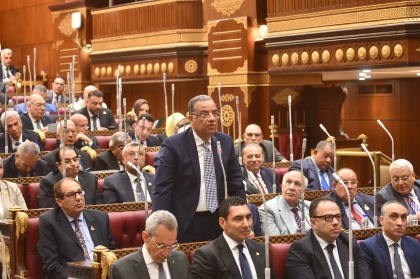 الكاتب الصحفي محمود مسلم، رئيس الهيئة البرلمانية لحزب الجبهة الوطنية