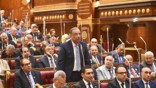 رئيس الهيئة البرلمانية للجبهة الوطنية في الشيوخ: تطوير مراكز الشباب لابد أن يكون مشروع دولة