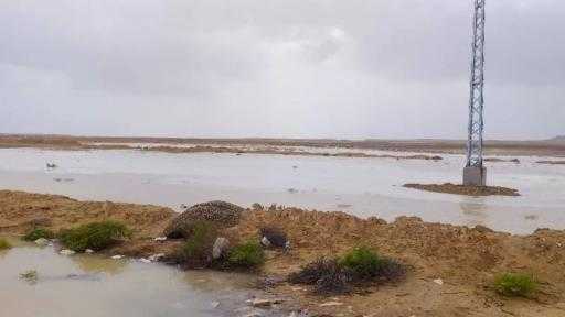 - الدكتور سويلم يتابع موقف السيول التي تعرضت لها محافظة شمال سيناء يوم الإثنين الموافق ٢٧ أبريل ٢٠٢٦