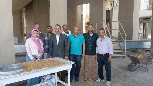 محافظ أسيوط: توريد 33 ألف طن قمح إلى الصوامع والشون منذ بدء الموسم واستمرار أعمال الحصاد حتى منتصف أغسطس