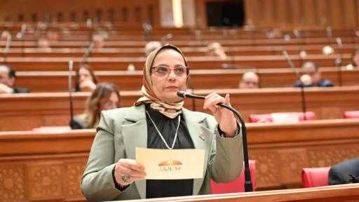 توصية برلمانية بإنقاذ 430 حالة من أزمة التمويل العقاري.. والعسيلي تتحرك لتنفيذ فائدة 3%
