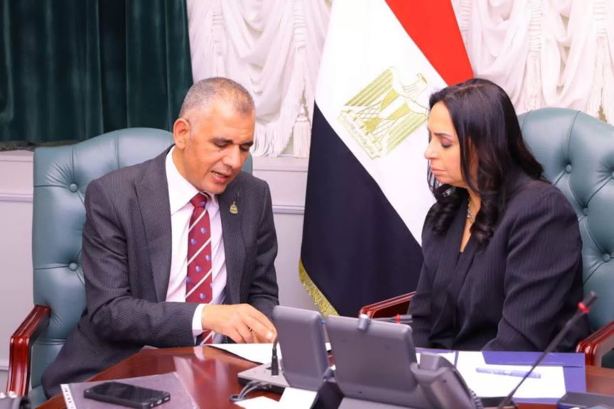 الدكتور حمادة حلبي ووزيرة التضامن 