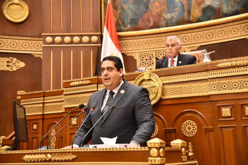 النائب وليد التمامي، عضو مجلس الشيوخ