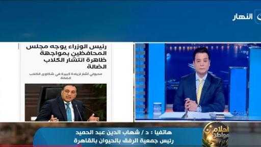 الرفق بالحيوان: الفاتورة الحقيقية لأزمة الكلاب الضالة تجاوزت 3 مليارات جنيه الرفق بالحيوان: الفاتورة الحقيقية لأزمة الكلاب الضالة تجاوزت 3 مليارات جنيه