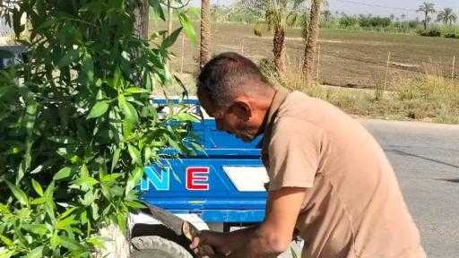 ضمن تطوير وتجميل مداخل المدن : رئيس مدينه مطاي يتابع أعمال تجميل وتطوير المدينه، بطريق مصر أسوان الزراعي - المنيا : حسن الجلاد