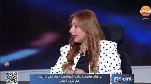 ناشطة بيئية: إبادة الكلاب حل لم يثبت نجاحه تاريخيًا