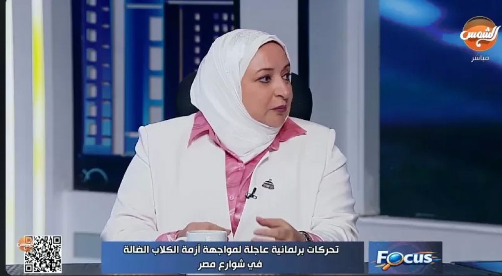 النائبة سحر عتمان، عضو مجلس النواب