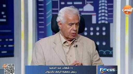 رئيس ”الرفق بالحيوان”: أعداد كلاب الشوارع تتضاعف من 15 إلى 40 مليونًا خلال عقد واحد