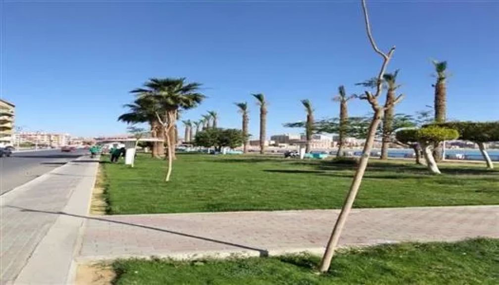 أرشيفية