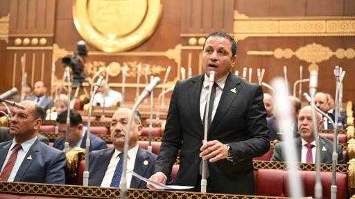 النائب عادل السكري يشيد باستجابة الحكومة لمقترحاته بالتيسير على المواطنين في ملف العدادات الكودية