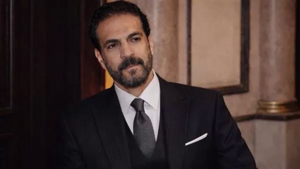 الدكتور طارق عناني، أمين شئون المصريين بالخارج
