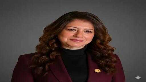 النائبة سوزي سمير: القيادة الاستراتيجية تعكس جاهزية الدولة لمواجهة الأزمات وتؤكد رؤية استباقية لحماية المواطنين
