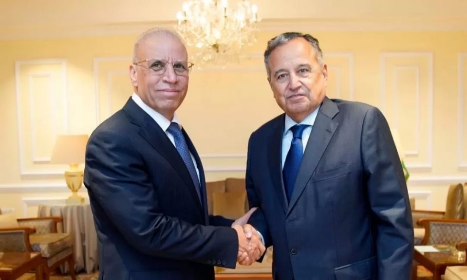 سفير العراق وأمين جامعة الدول العربية 