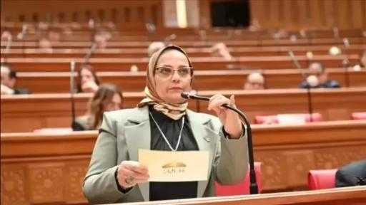 نجلاء العسيلي: توجيهات الرئيس تضبط السوق العقارية وتحسم فوضى تأخر التسليم