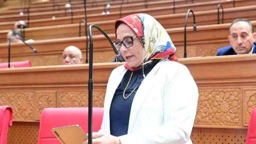 نجلاء العسيلي: توجيهات الرئيس السيسي بشأن أحكام النفقات انتصار لحقوق الأسرة