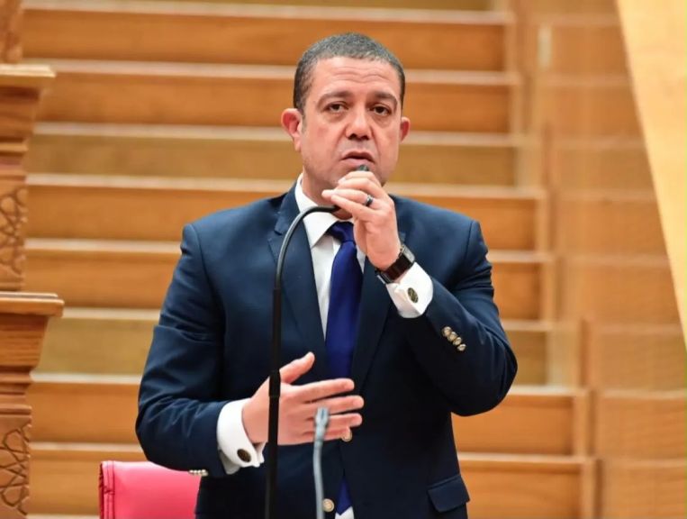 النائب سمير الخولي، أمين سر لجنة الصحة بمجلس النواب
