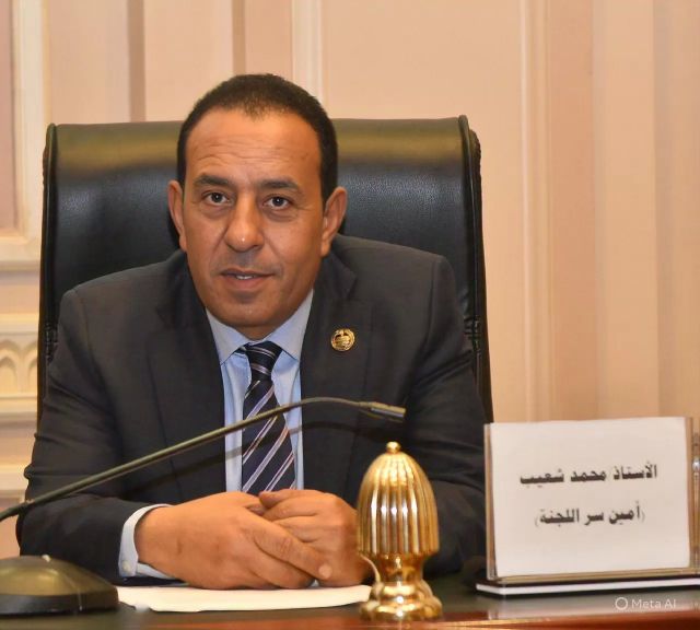 النائب محمد شعيب، عضو مجلس الشيوخ
