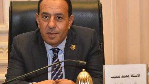 النائب محمد شعيب: لقاء الرئيس السيسي وولي العهد السعودي يبعث برسائل حاسمة حول وحدة الموقف المصري السعودي
