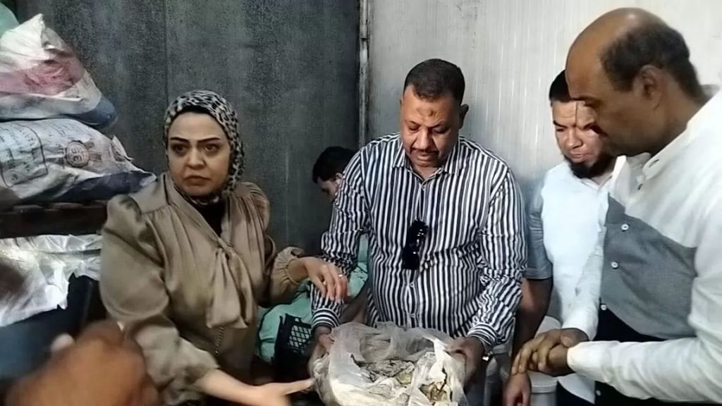 الوثيقة
