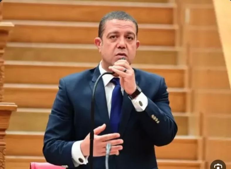 النائب سمير الخولي، أمين سر لجنة الصحة بمجلس النواب
