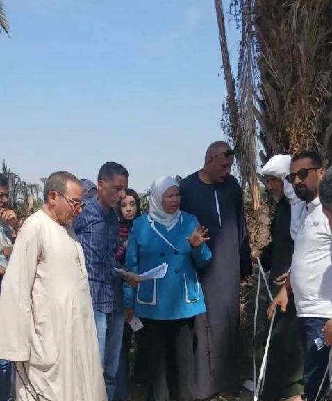الوثيقة
