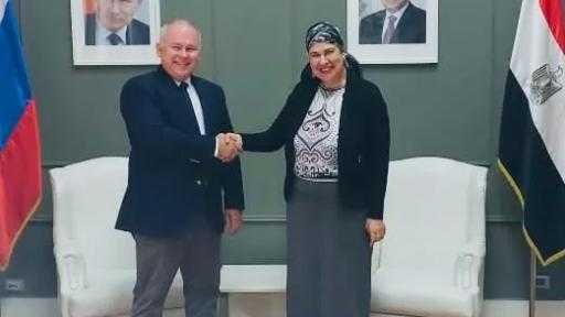 مجلس الشباب المصري يبحث مع سفارة روسيا بالقاهرة سبل تعزيز التعاون الثقافي