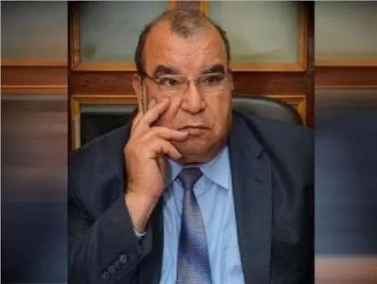  رفعت فياض، الخبير التعليمي
