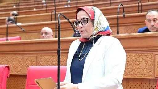 النائبة نجلاء العسيلي: قمة موسكو فرصة لتعزيز الشراكات التنموية وحماية مصالح الشعوب الأفريقية