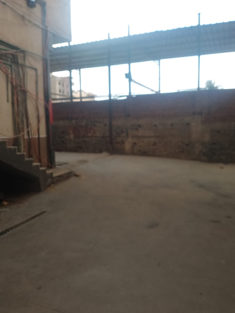 d0096ec6c835.jpg